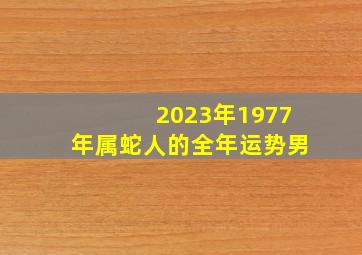 2023年1977年属蛇人的全年运势男