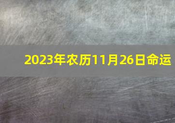 2023年农历11月26日命运