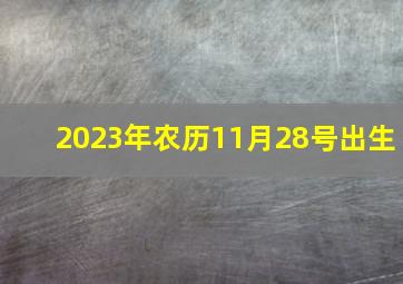 2023年农历11月28号出生