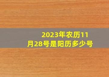 2023年农历11月28号是阳历多少号