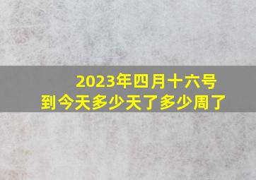 2023年四月十六号到今天多少天了多少周了