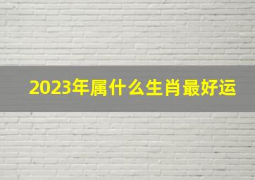 2023年属什么生肖最好运