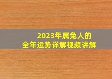 2023年属兔人的全年运势详解视频讲解