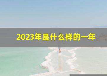 2023年是什么样的一年