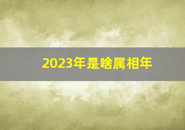 2023年是啥属相年