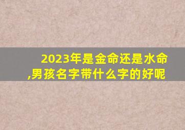 2023年是金命还是水命,男孩名字带什么字的好呢