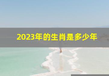 2023年的生肖是多少年