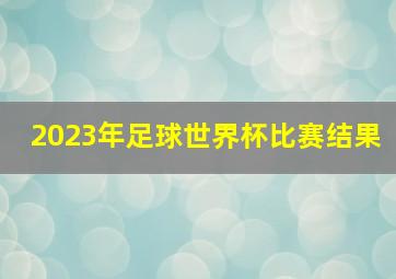 2023年足球世界杯比赛结果