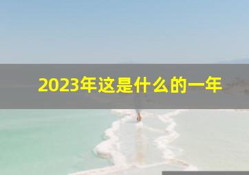 2023年这是什么的一年