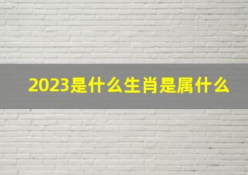 2023是什么生肖是属什么