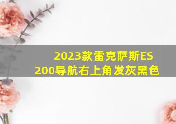 2023款雷克萨斯ES200导航右上角发灰黑色