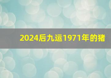 2024后九运1971年的猪