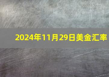 2024年11月29日美金汇率