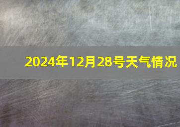 2024年12月28号天气情况