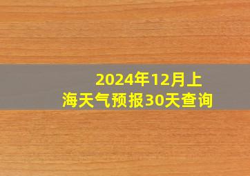 2024年12月上海天气预报30天查询