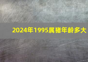 2024年1995属猪年龄多大