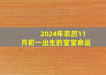 2024年农历11月初一出生的宝宝命运