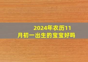 2024年农历11月初一出生的宝宝好吗