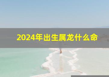 2024年出生属龙什么命