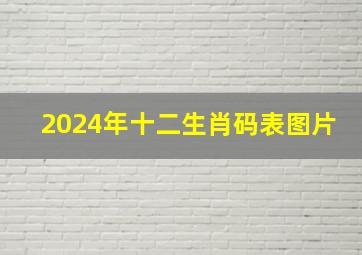 2024年十二生肖码表图片