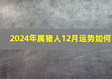 2024年属猪人12月运势如何