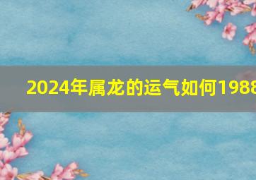 2024年属龙的运气如何1988