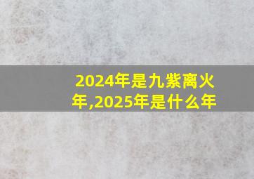 2024年是九紫离火年,2025年是什么年