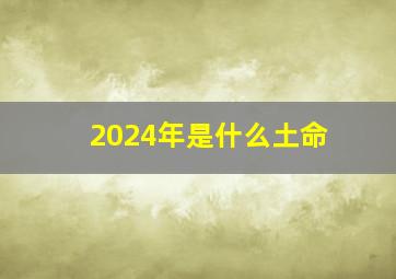 2024年是什么土命