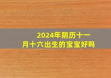 2024年阴历十一月十六出生的宝宝好吗