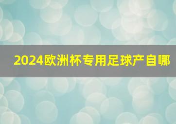 2024欧洲杯专用足球产自哪