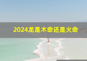 2024龙是木命还是火命