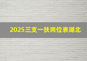 2025三支一扶岗位表湖北