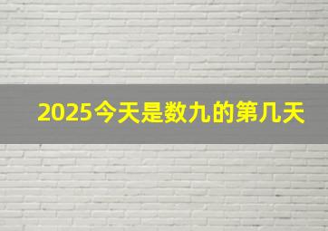 2025今天是数九的第几天