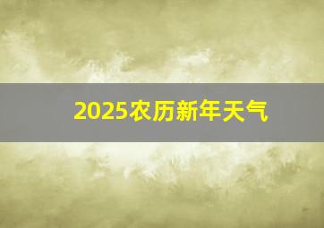 2025农历新年天气