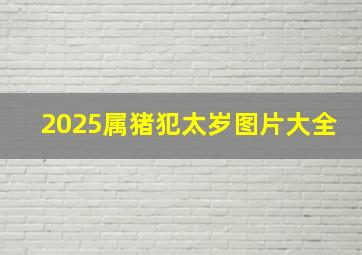 2025属猪犯太岁图片大全