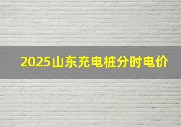 2025山东充电桩分时电价