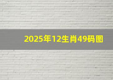 2025年12生肖49码图