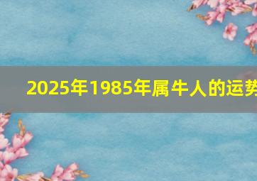 2025年1985年属牛人的运势