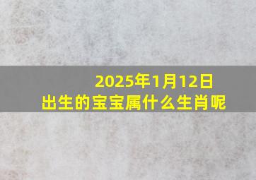 2025年1月12日出生的宝宝属什么生肖呢