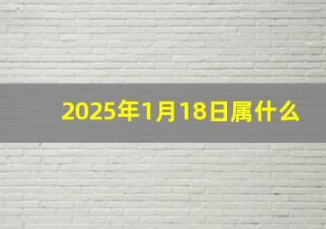 2025年1月18日属什么