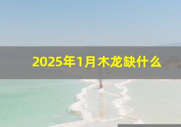 2025年1月木龙缺什么