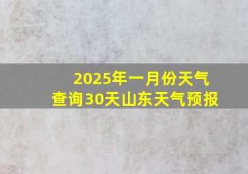 2025年一月份天气查询30天山东天气预报