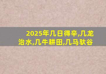 2025年几日得辛,几龙治水,几牛耕田,几马驮谷