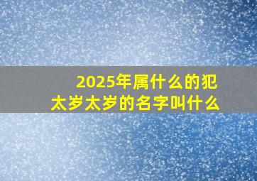 2025年属什么的犯太岁太岁的名字叫什么