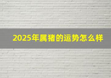 2025年属猪的运势怎么样