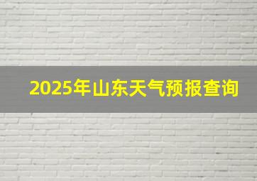 2025年山东天气预报查询