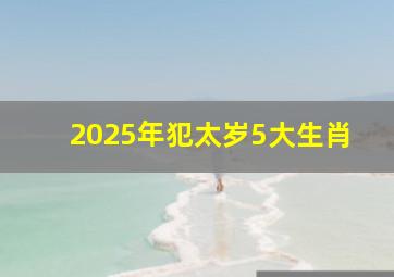 2025年犯太岁5大生肖