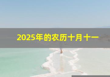 2025年的农历十月十一