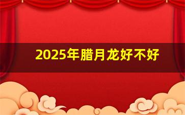 2025年腊月龙好不好