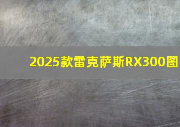 2025款雷克萨斯RX300图